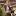na-photo.ru favicon