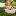 nadiy-photo-cat-krsk.ru favicon
