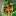narayzi.ru favicon
