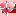 narodniydoctor.ru favicon