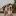 nataarphoto.ru favicon