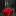 nataliagerlakh.ru favicon