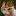 nataliyaphoto.ru favicon