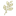natulique.ru favicon