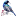 nectarniza.ru favicon
