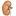 nefrologinfo.ru favicon