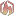 neftehimmach-tto.ru favicon