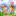 nevapmsc.ru favicon