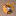 newlife-foto.ru favicon