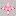 newstarxxl.ru favicon