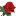 nicelady.ru favicon