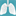 nicfree.ru favicon