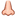 nose.su favicon