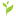 nota-altay.ru favicon