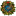 novolight73.ru favicon