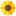 npctio.ru favicon