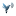 npocolibri.ru favicon