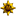 ntl38alumni.ru favicon