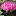 nymphaeahardy.ru favicon