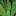 ogorodniksuper.ru favicon