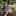 ohotofoto.ru favicon