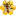 oksashki.ru favicon