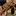 olegkulyukin.ru favicon