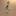 olegzolotos.ru favicon