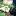olgatrafimovich.ru favicon
