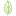 opt-florist.ru favicon