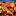 orbitlife.ru favicon