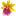 orchid22.ru favicon