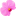 orchids-museum.ru favicon