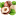 orekhovyisklad.ru favicon