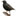 ornithologist.ru favicon
