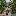 osobnyak-ryabushinskogo.ru favicon