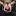 otkrovenie-school.ru favicon