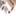 palprom.ru favicon