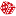 palyamo.site favicon