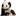panda-money.ru favicon