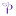 paradoxflower.com favicon