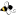 pasekanazarovyh.ru favicon