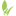 patient-mt.ru favicon