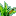 pauligpromo.ru favicon