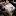 pavelmardus.ru favicon