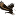 pbnovo.ru favicon