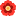 pelargonii57.ru favicon