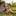pelotkafeast.ru favicon