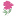 peony-art.ru favicon