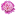 peonystudio.ru favicon